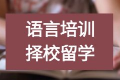 沪上三公有何优势？这么火爆