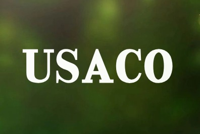 USACO竞赛等级梳理