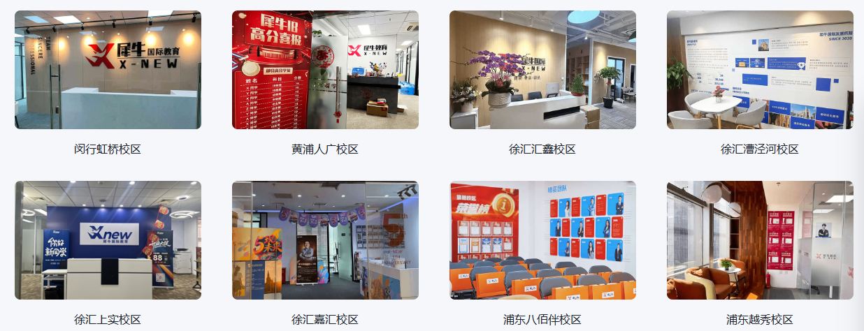 犀牛国际教育IGCSE/Alevel/IB/AP课程全览相关图片