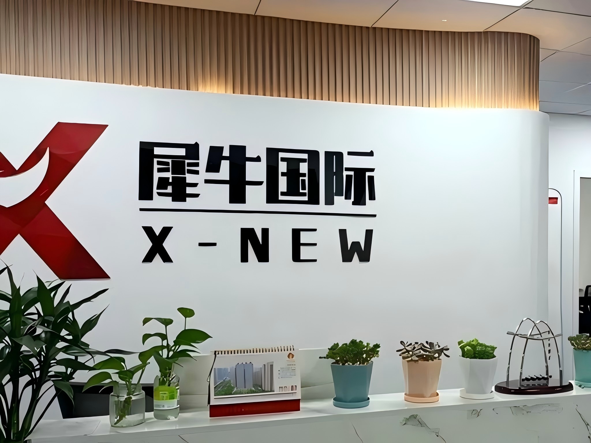 犀牛国际教育