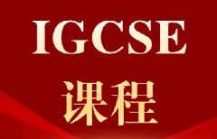 犀牛IGCSE全科辅导，1V1/小班定制高分方