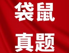 2026年完整版袋鼠数学竞赛真题+答案解析