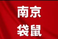 坐标南京,犀牛教育袋鼠数学竞赛培训