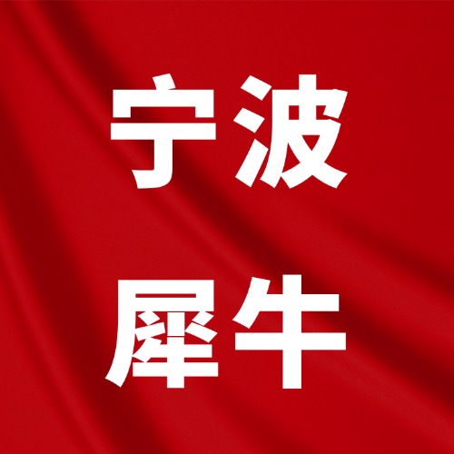 宁波犀牛教育,国际竞赛/国际学科/语言