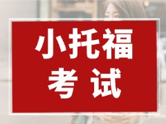 上海小托福培训|上海三公、国际校小升初隐形参考，几年级备考合适?