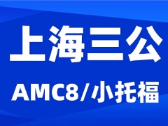 上海三公新走向！上海三公需要那些证书增强竞争力？犀牛教育一站式规划辅导！