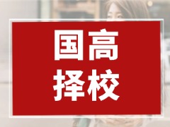 上海国际高中选课选经济还是化学?结合上海升学大数据分析