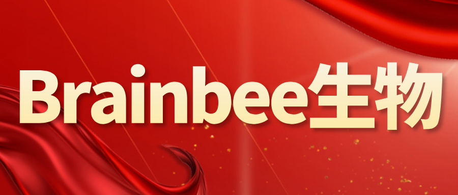 拿下BrainBee/USABO 金奖，就来犀牛教育生物培训班！